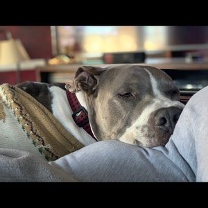 Meet your Posher, Sandi